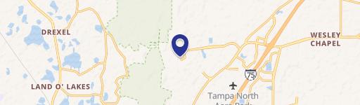 Wesley Chapel, FL 33544