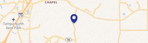 Wesley Chapel, FL 33543