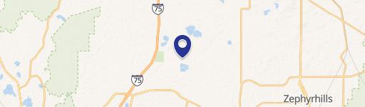 Wesley Chapel, FL 33545