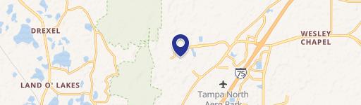 Wesley Chapel, FL 33544