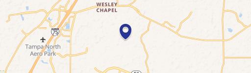 Wesley Chapel, FL 33543