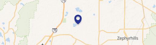 Wesley Chapel, FL 33545