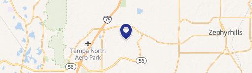 Wesley Chapel, FL 33543