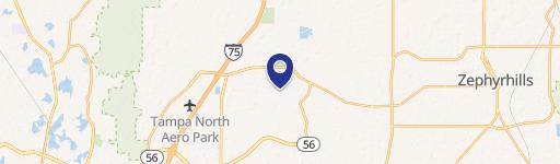 Wesley Chapel, FL 33543