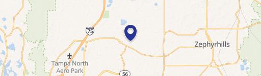 Wesley Chapel, FL 33545