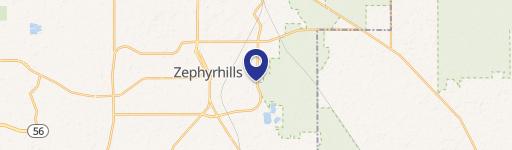 Zephyrhills, FL 33542