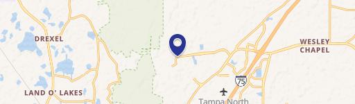 Wesley Chapel, FL 33544
