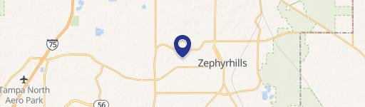 Zephyrhills, FL 33541