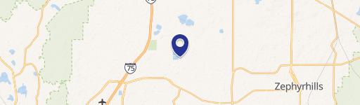 Wesley Chapel, FL 33545