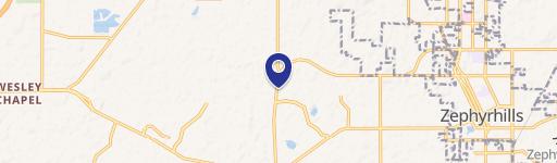 Zephyrhills, FL 33541