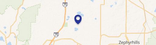 Wesley Chapel, FL 33545