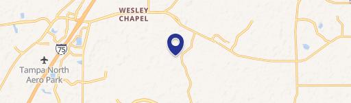Wesley Chapel, FL 33543