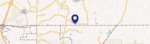 Wesley Chapel, FL 33543