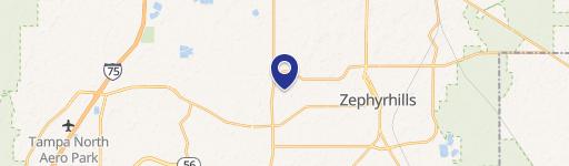 Zephyrhills, FL 33541