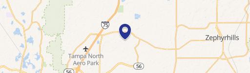 Wesley Chapel, FL 33543