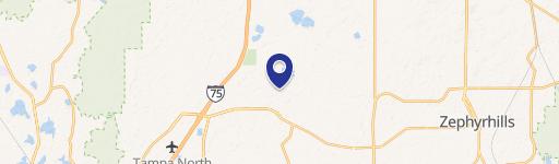 Wesley Chapel, FL 33545