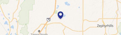 Wesley Chapel, FL 33545