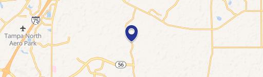 Wesley Chapel, FL 33543