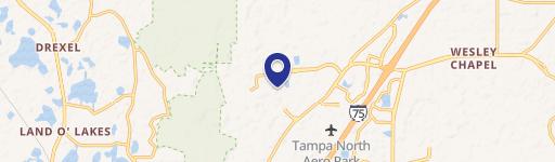 Wesley Chapel, FL 33544