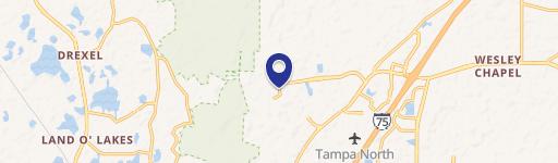 Wesley Chapel, FL 33544