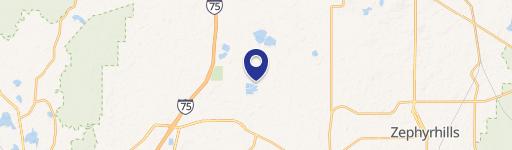 Wesley Chapel, FL 33545