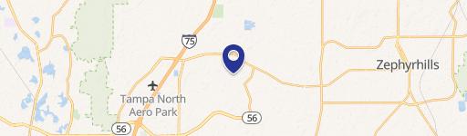 Wesley Chapel, FL 33543