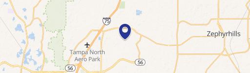 Wesley Chapel, FL 33543