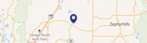 Wesley Chapel, FL 33545