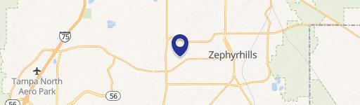 Zephyrhills, FL 33541