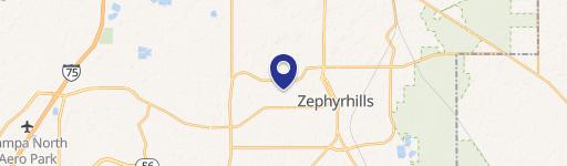 Zephyrhills, FL 33541