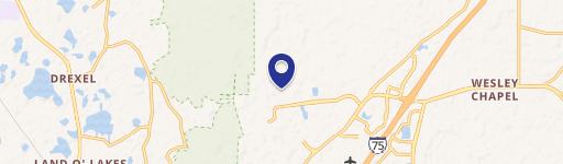 Wesley Chapel, FL 33544