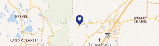 Wesley Chapel, FL 33544