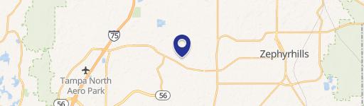 Wesley Chapel, FL 33545