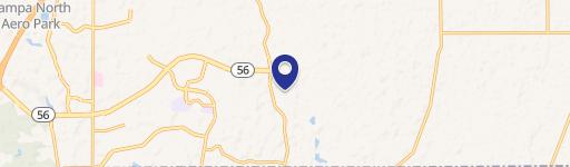 Wesley Chapel, FL 33543