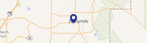 Zephyrhills, FL 33541