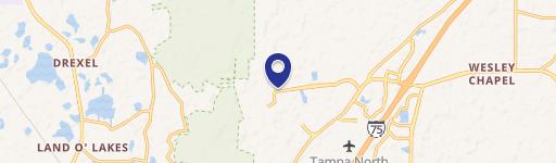 Wesley Chapel, FL 33544