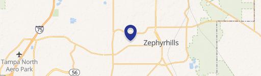 Zephyrhills, FL 33541
