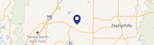 Wesley Chapel, FL 33545