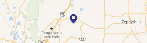 Wesley Chapel, FL 33543