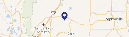 Wesley Chapel, FL 33543