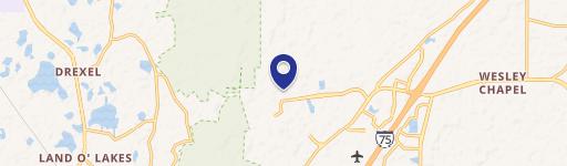 Wesley Chapel, FL 33544