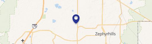 Wesley Chapel, FL 33545