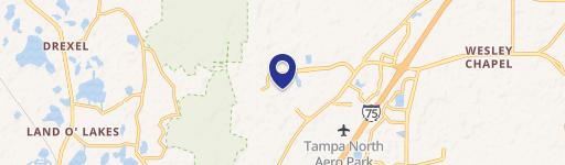 Wesley Chapel, FL 33544