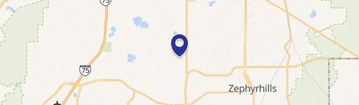 Wesley Chapel, FL 33545