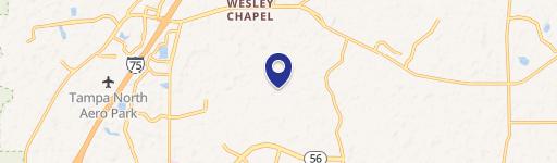 Wesley Chapel, FL 33543