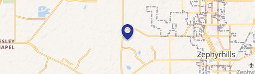 Zephyrhills, FL 33541