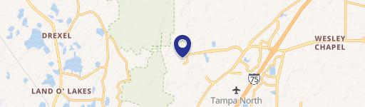 Wesley Chapel, FL 33544