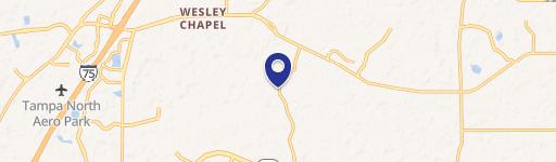 Wesley Chapel, FL 33543