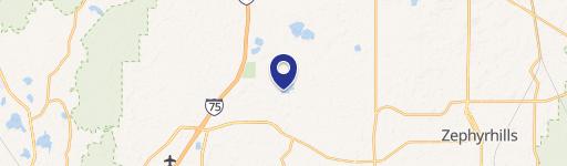 Wesley Chapel, FL 33545