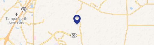 Wesley Chapel, FL 33543